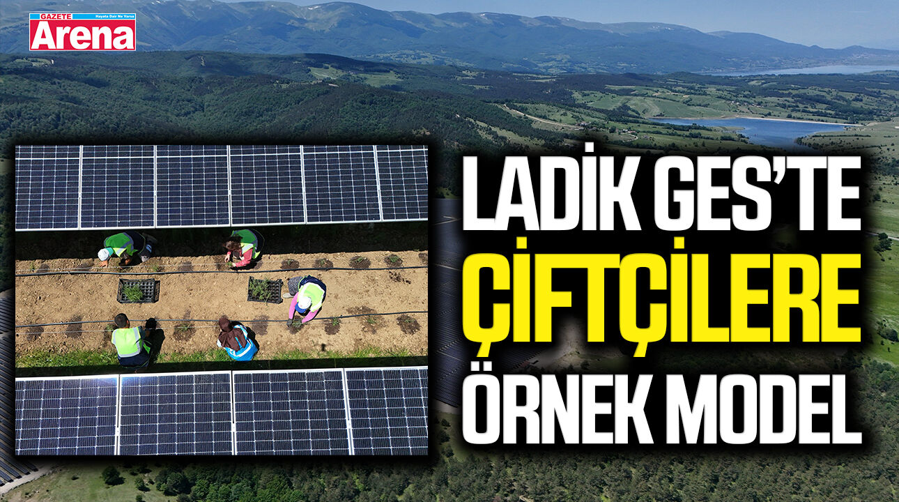 Samsun Büyükşehir Belediyesi'nden çiftçilere örnek model