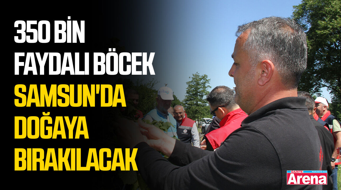 350 bin faydalı böcek Samsun'da doğaya bırakılacak
