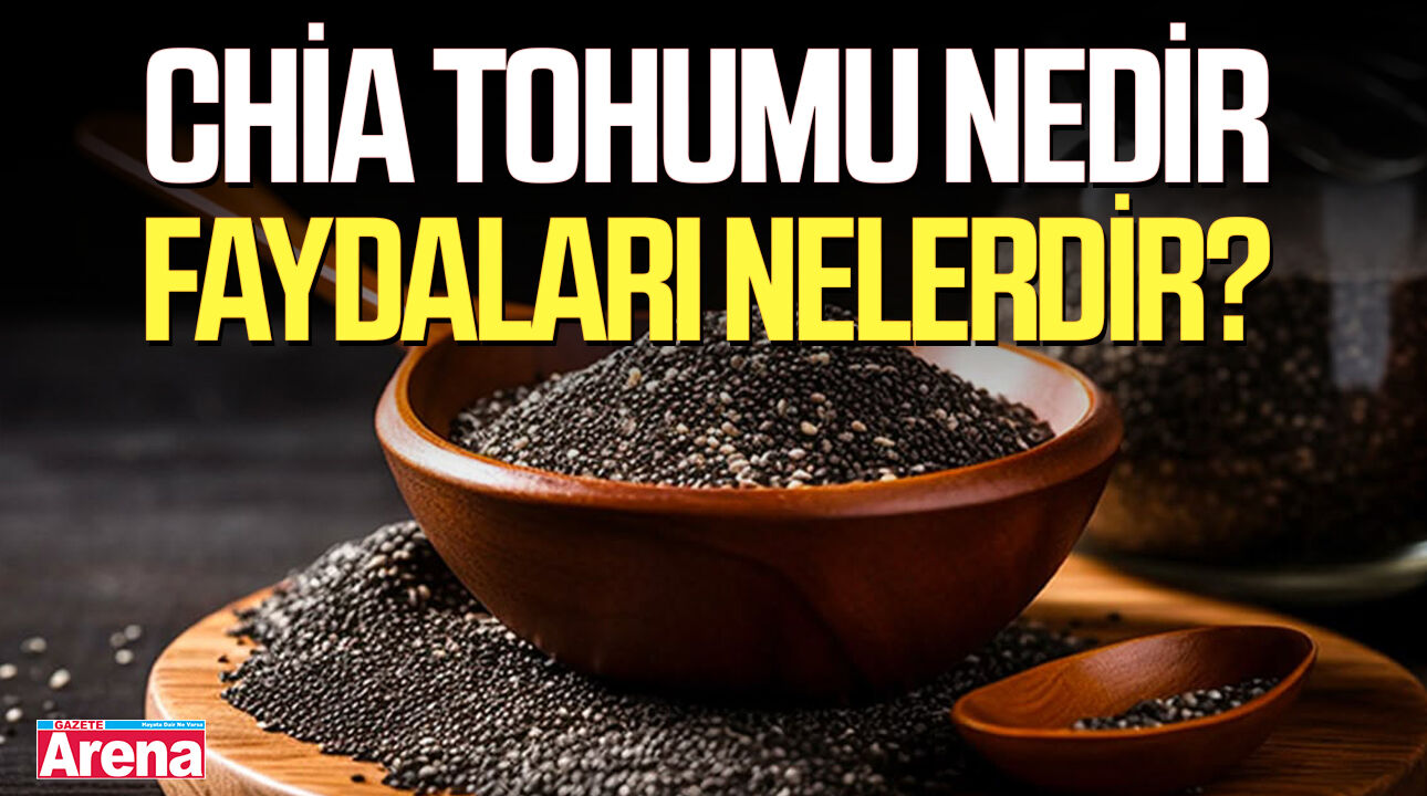 Chia tohumu nedir, faydaları nelerdir?