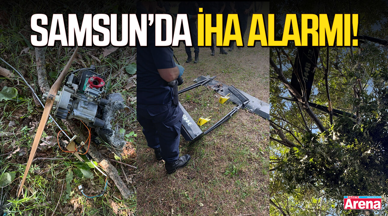 Samsun'un Alaçam ilçesinde İHA alarmı!
