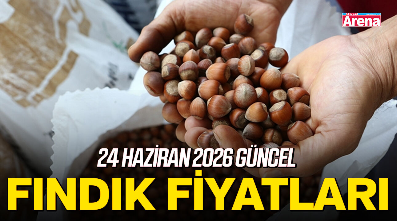 24 Haziran 2026 güncel fındık fiyatları