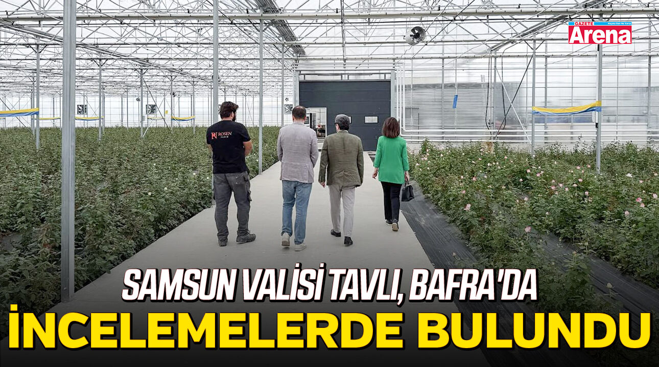 Samsun Valisi Tavlı, Bafra'da incelemelerde bulundu