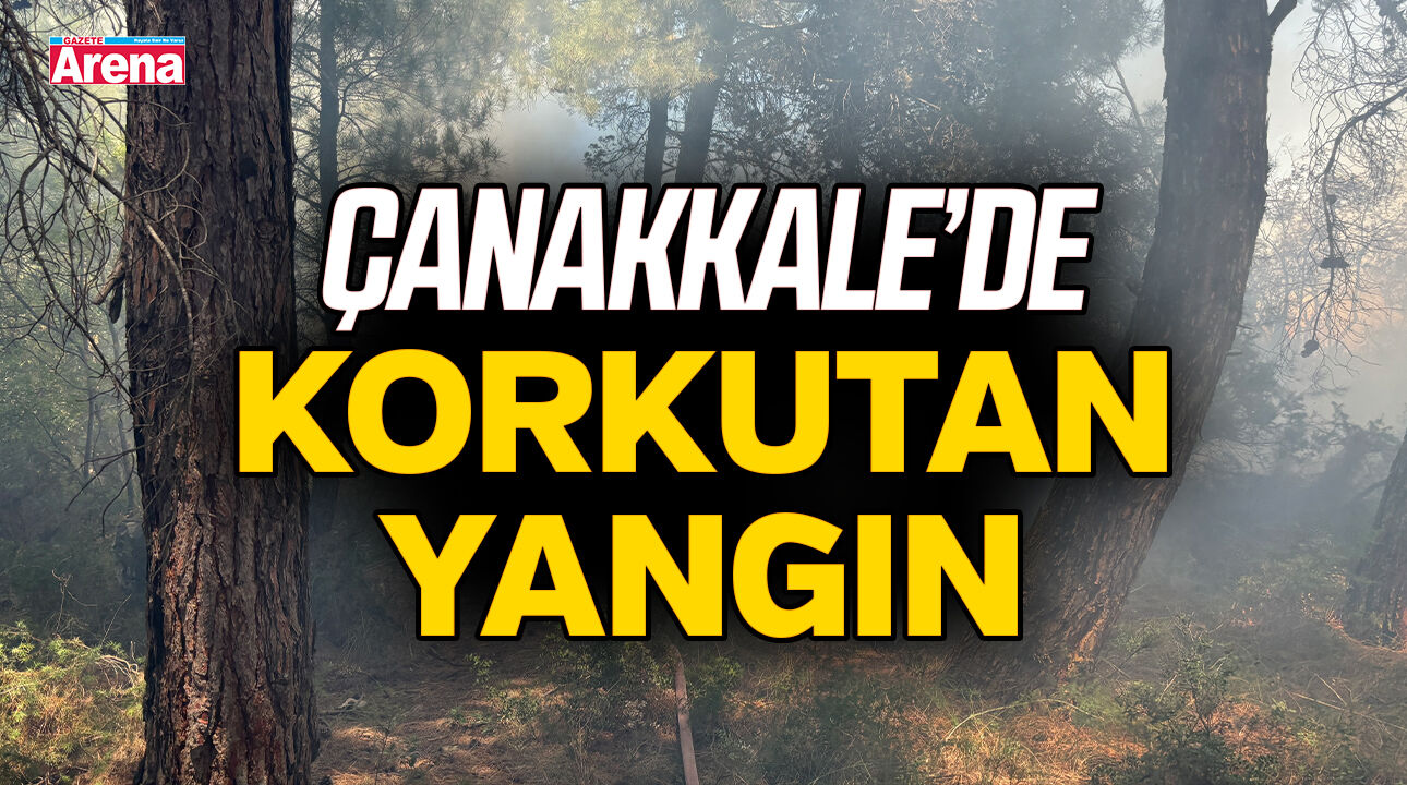 SON DAKİKA Çanakkale'de korkutan yangın!