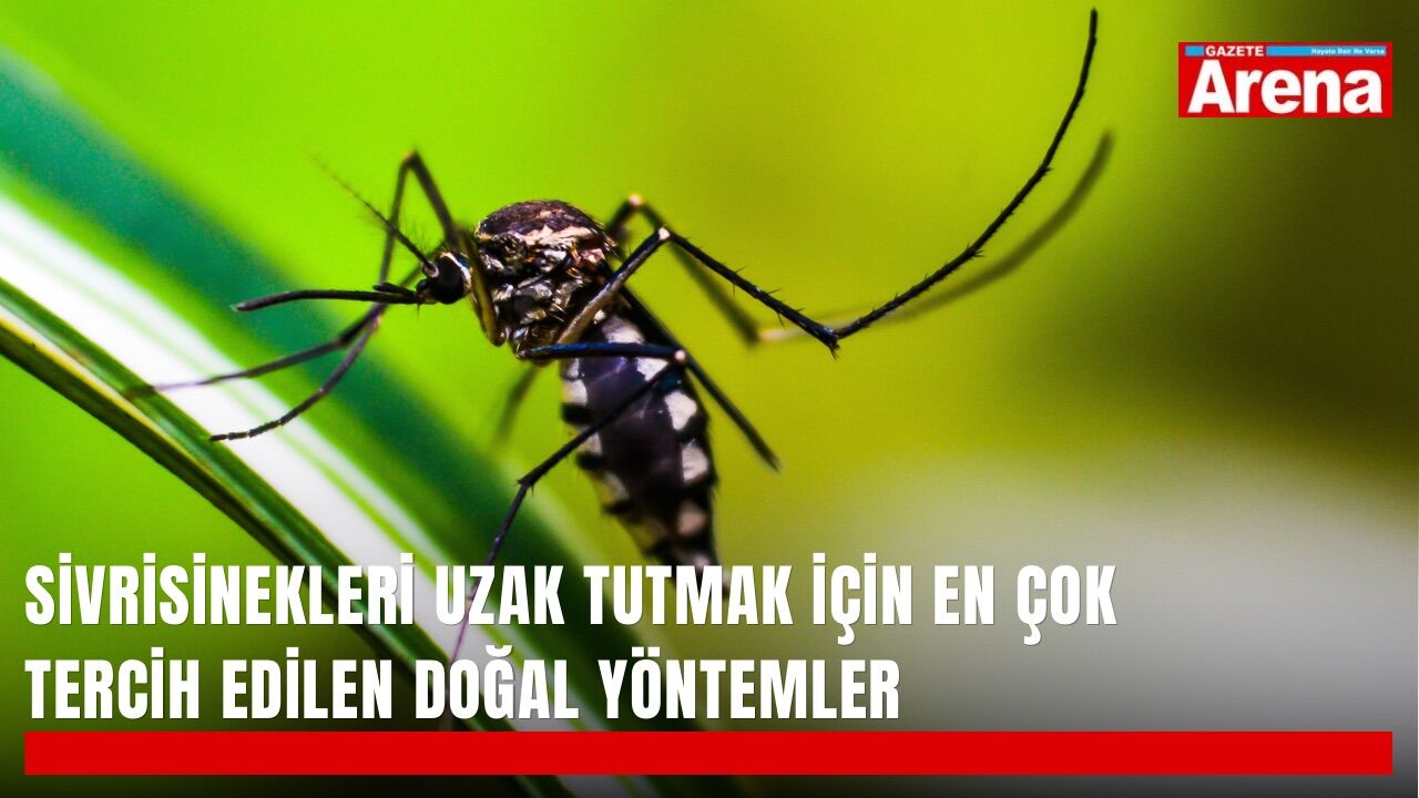 Sivrisinekleri uzak tutmak için en çok tercih edilen doğal yöntemler