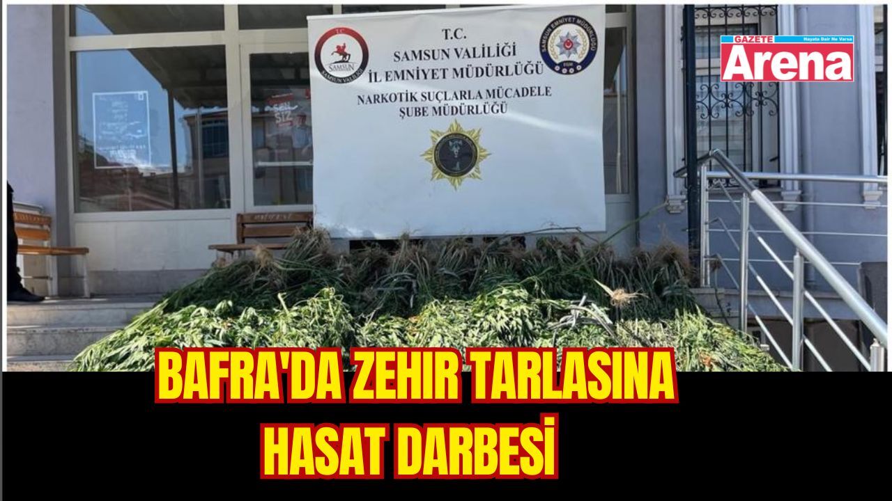 Bafra'da zehir tacirlerinin planı tarlada bozuldu
