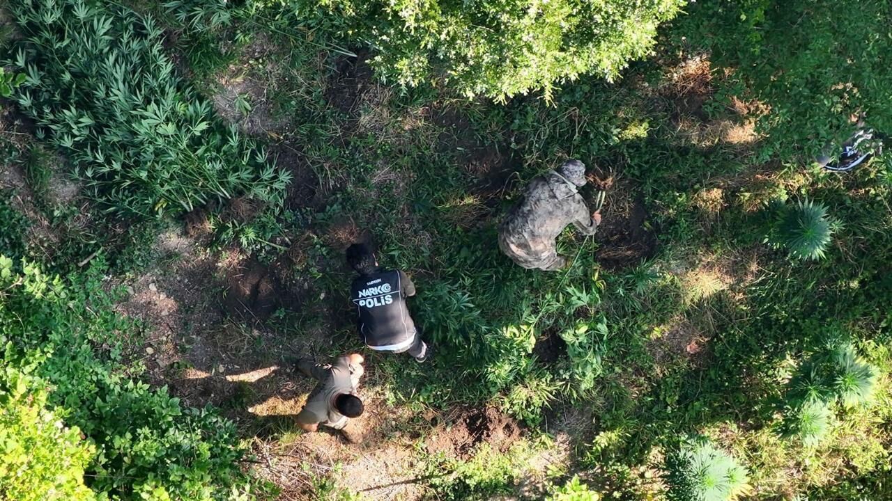 Bafra'da Zehir Tacirlerinin Planı Tarlada Bozuldu (7)