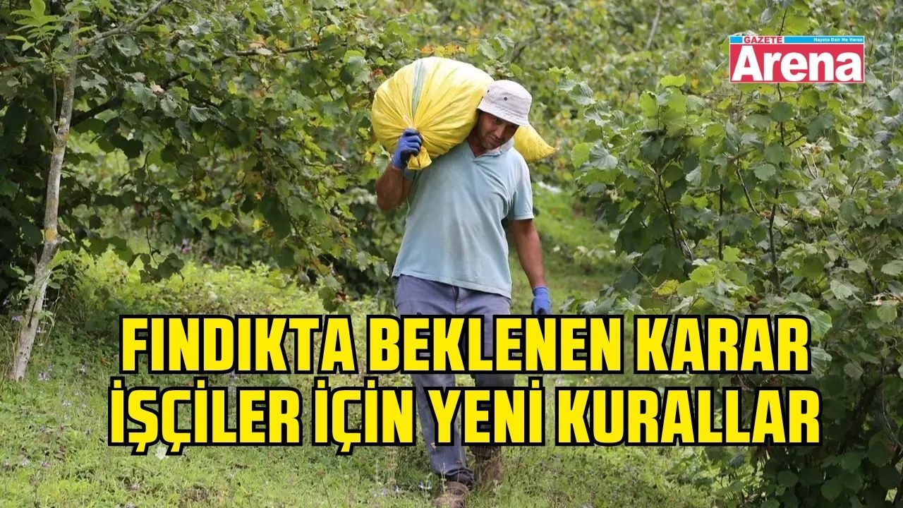 Fındık hasadı takvimi açıklandı! Tarihler ve çalışma kuralları belli oldu