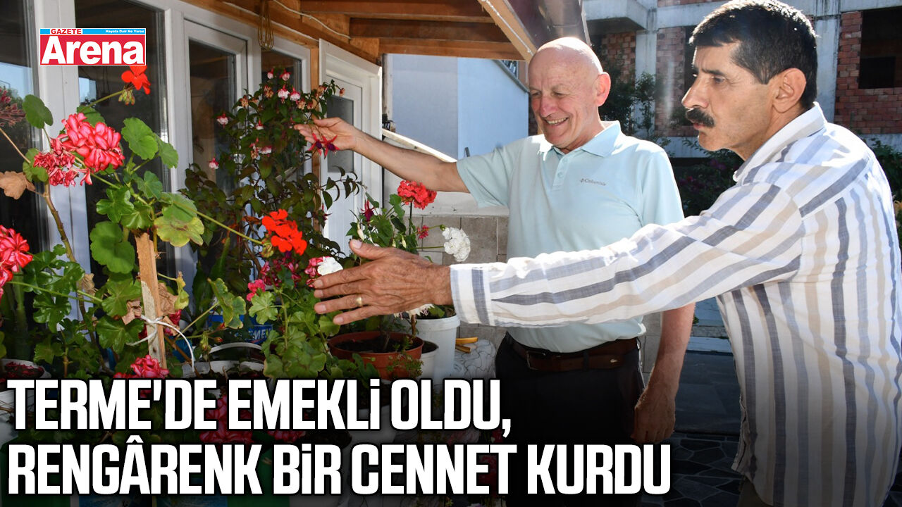 Terme'de emekli vatandaşın çiçek bahçesi görenleri büyülüyor