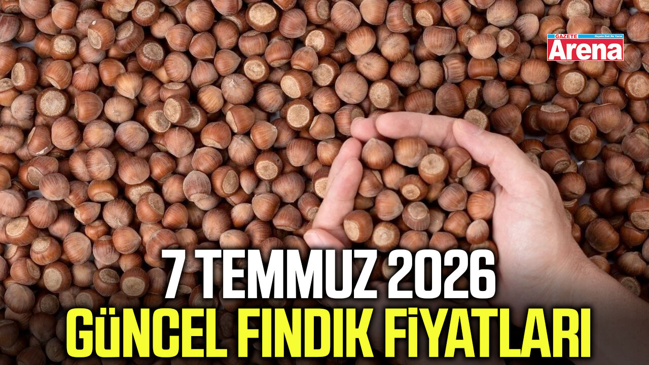 7 Temmuz 2026 güncel fındık fiyatları
