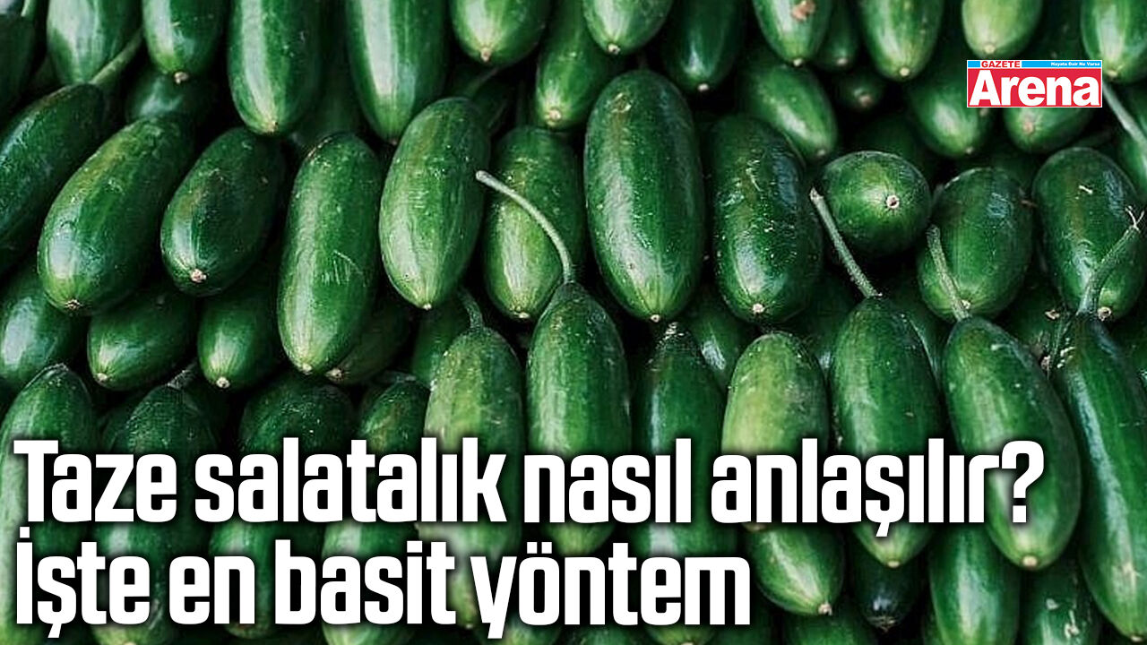 Taze salatalık nasıl anlaşılır? İşte en basit yöntem