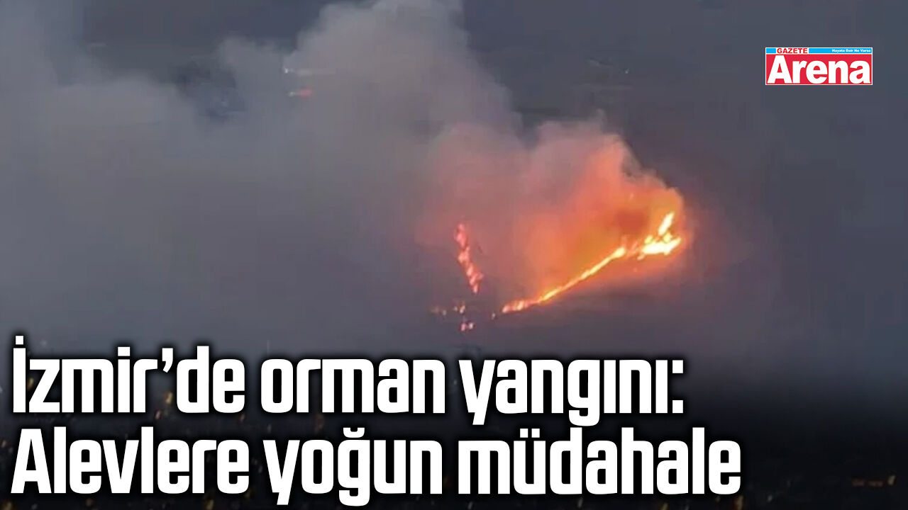 İzmir’de ormanlık alanda yangın paniği