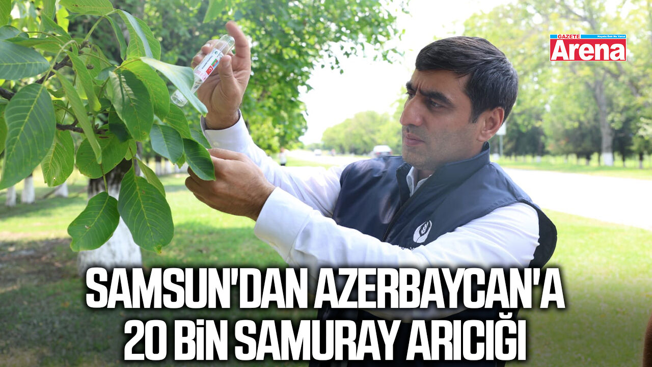 Samsun'dan Azerbaycan'a 20 bin samuray arıcığı