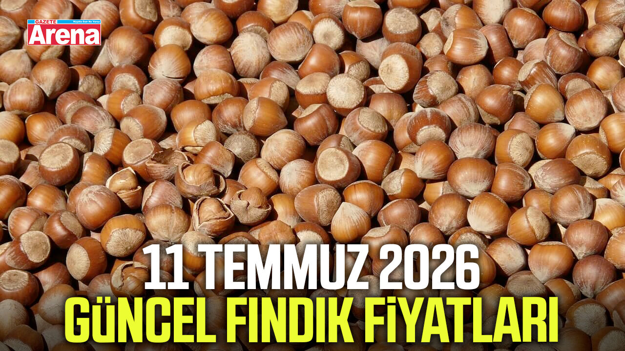 11 Temmuz 2026 güncel fındık fiyatları