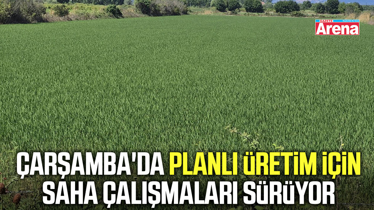 Çarşamba'da planlı üretim için saha çalışmaları sürüyor
