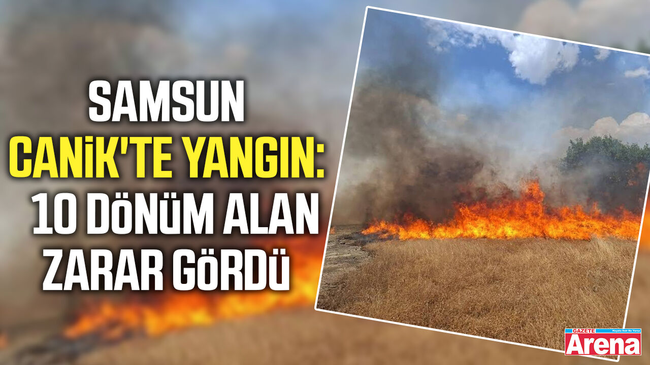 Samsun Canik'te yangın: 10 dönüm alan zarar gördü