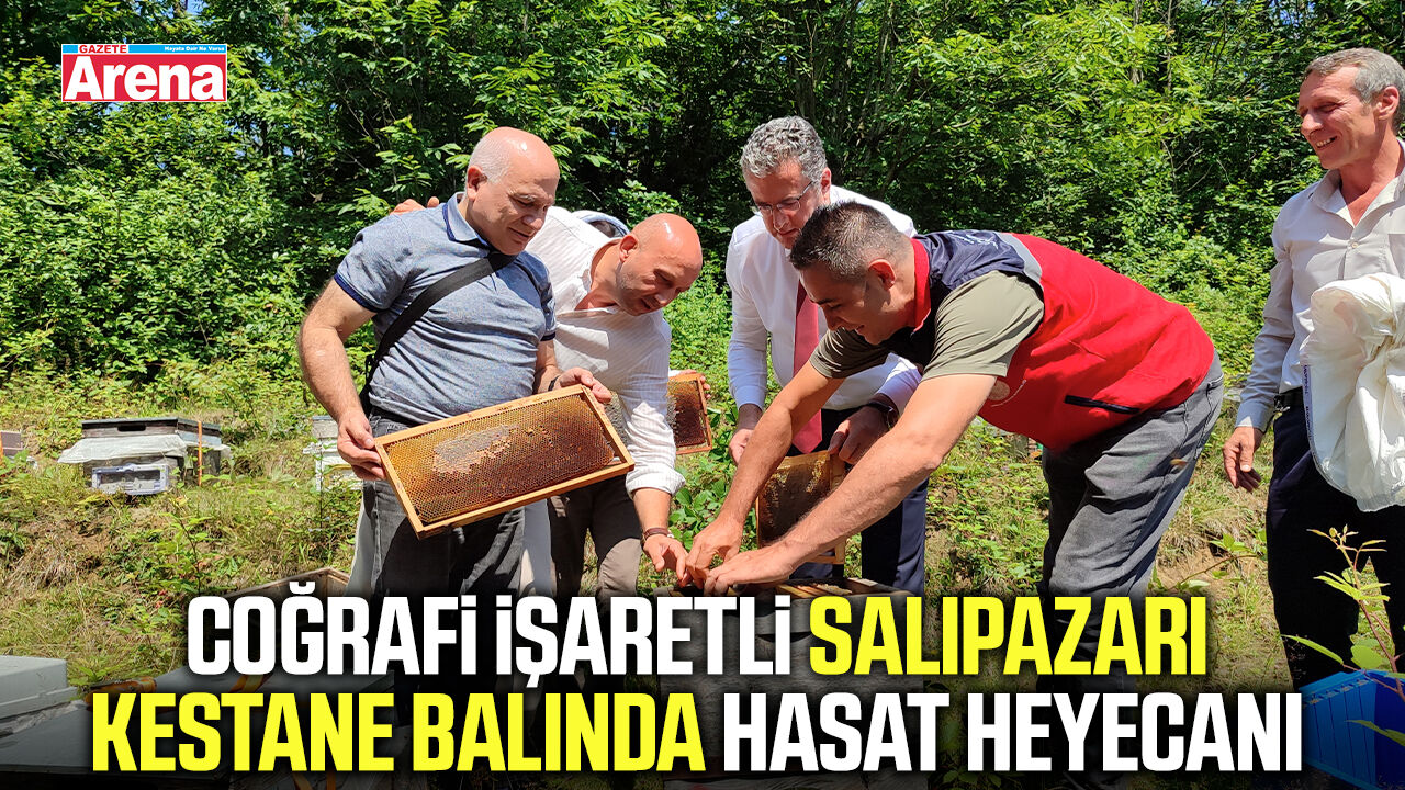Coğrafi işaretli Salıpazarı kestane balında hasat heyecanı
