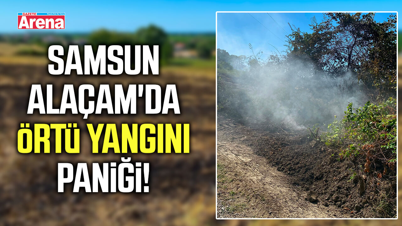 Samsun Alaçam'da örtü yangını paniği!