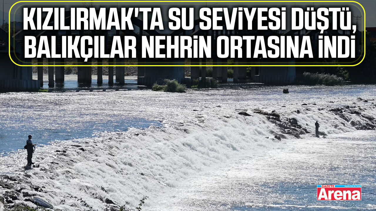 Kızılırmak'ta sular çekildi balıkçılar fırsatı değerlendirdi