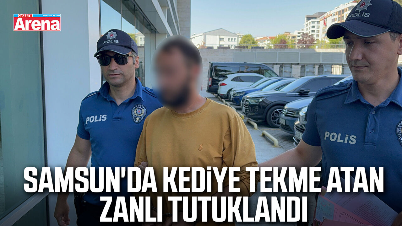 Samsun'da kediye tekme atan zanlı tutuklandı