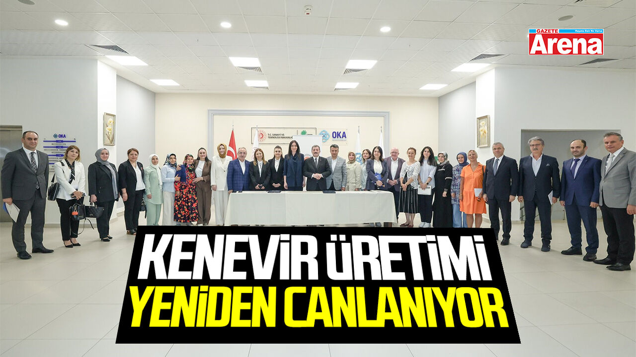 Samsun'da kenevir üretimi yeniden canlanıyor