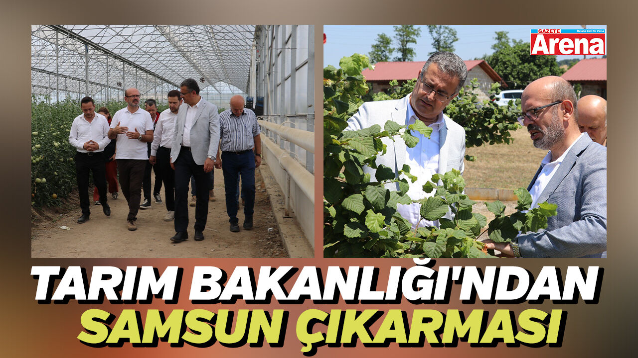 Tarım Bakanlığı'ndan Samsun çıkarması