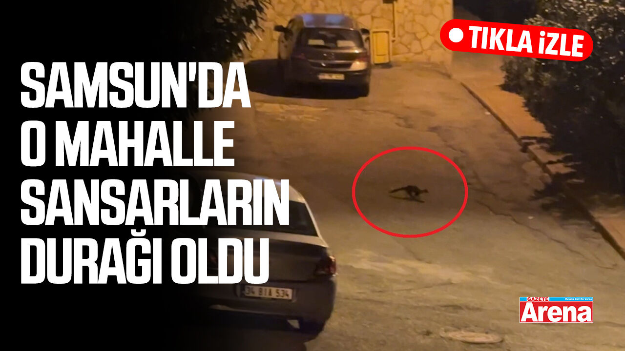 Samsun'da o mahalle sansarların durağı oldu