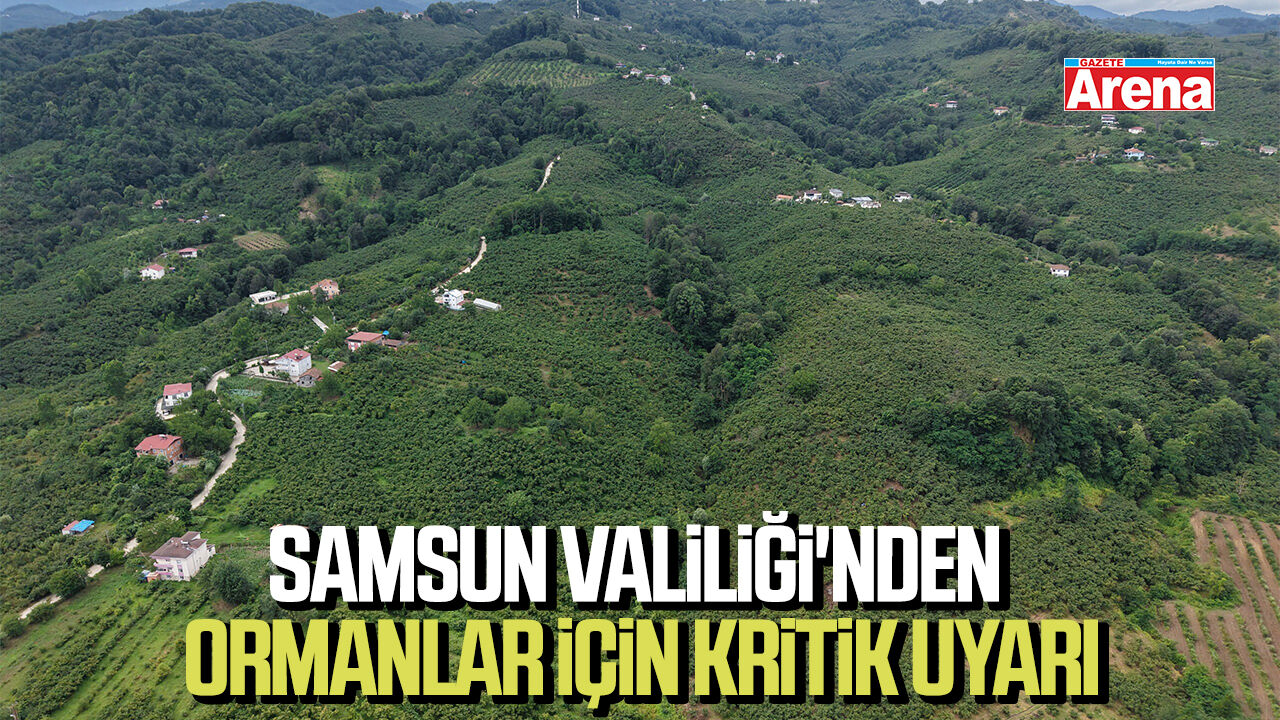 Samsun Valiliği'nden ormanlar için kritik uyarı