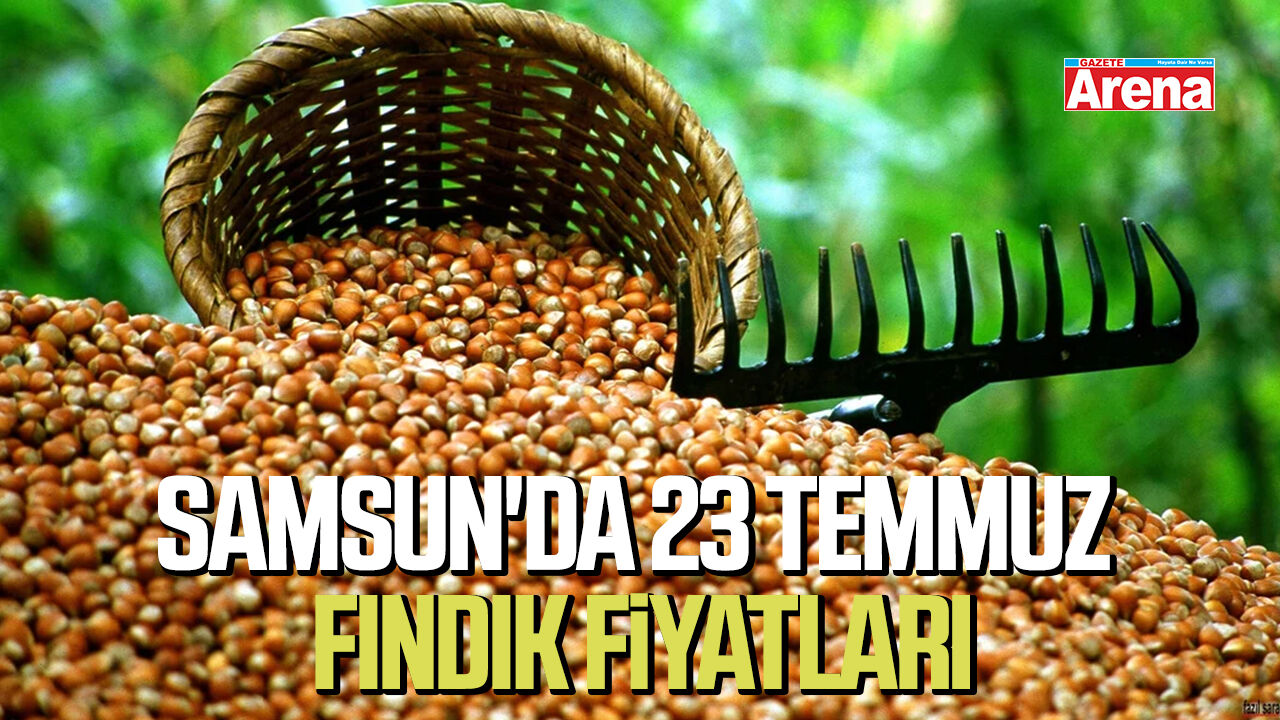 Samsun'da 23 Temmuz fındık fiyatları