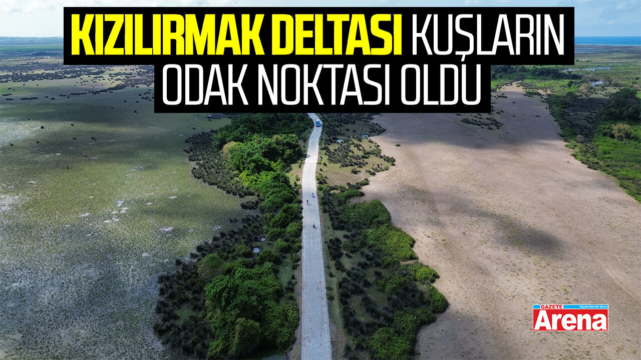 Kızılırmak Deltası kuşların odak noktası oldu