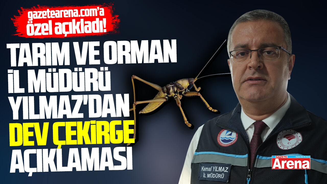 Tarım ve Orman İl Müdürü Yılmaz'dan dev çekirge açıklaması