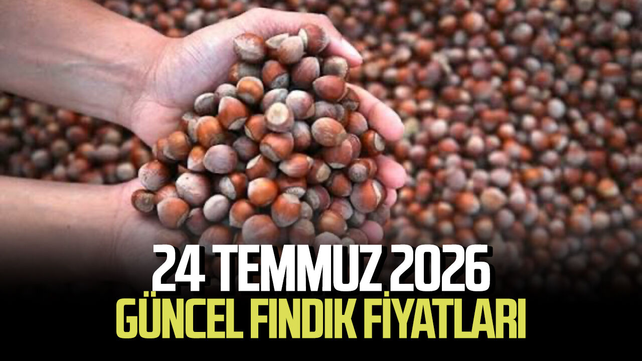24 Temmuz 2026 güncel fındık fiyatları