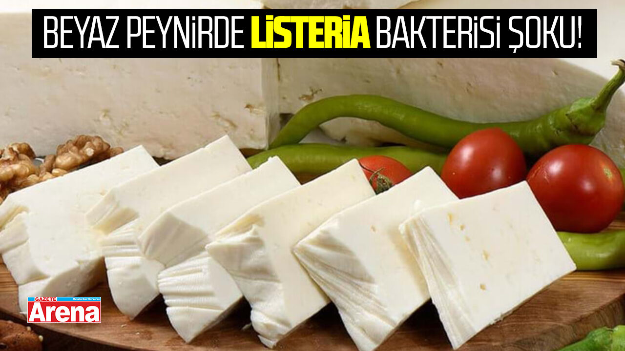 Beyaz peynirde listeria bakterisi şoku!