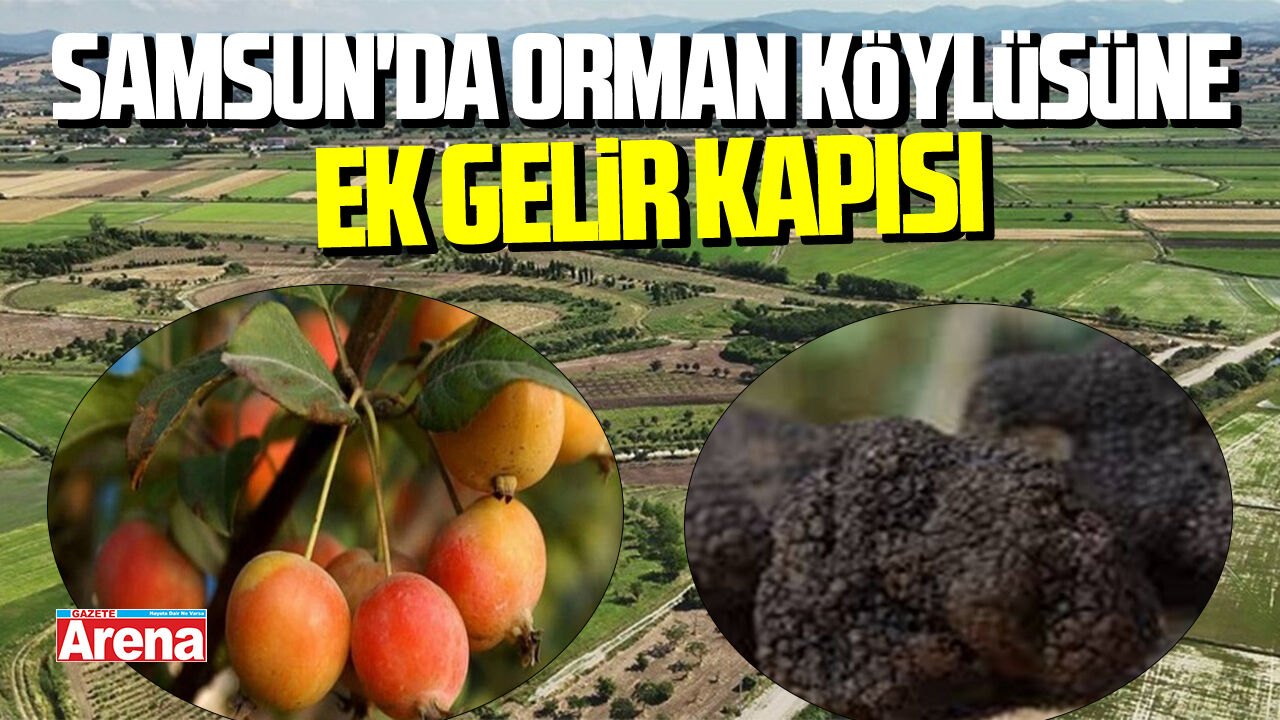 Samsun'da orman köylüsüne ek gelir