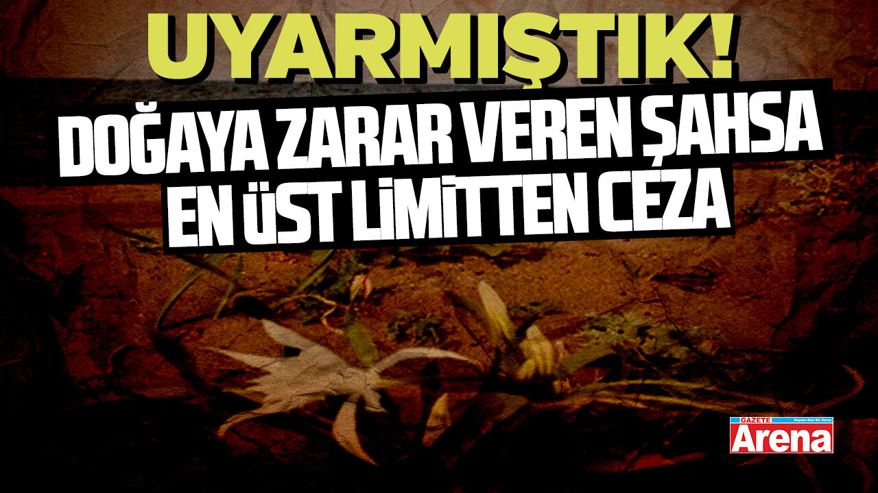 Samsun'da doğaya zarar veren şahsa en üst limitten ceza