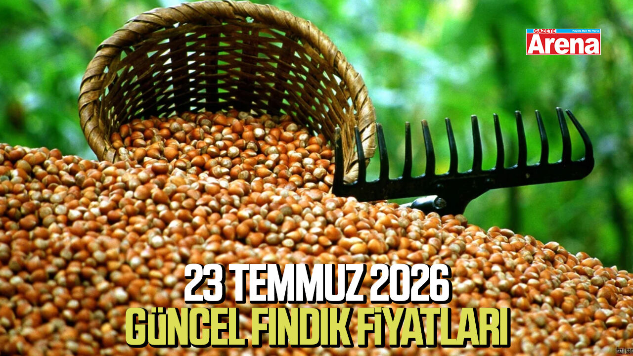 23 Temmuz 2026 Samsun'da güncel fındık fiyatları