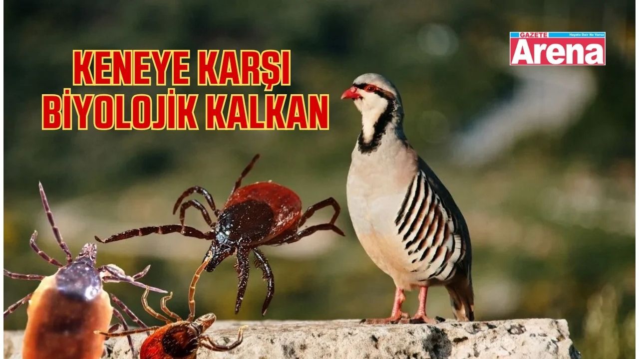 Keneyle mücadelede yeni hamle!