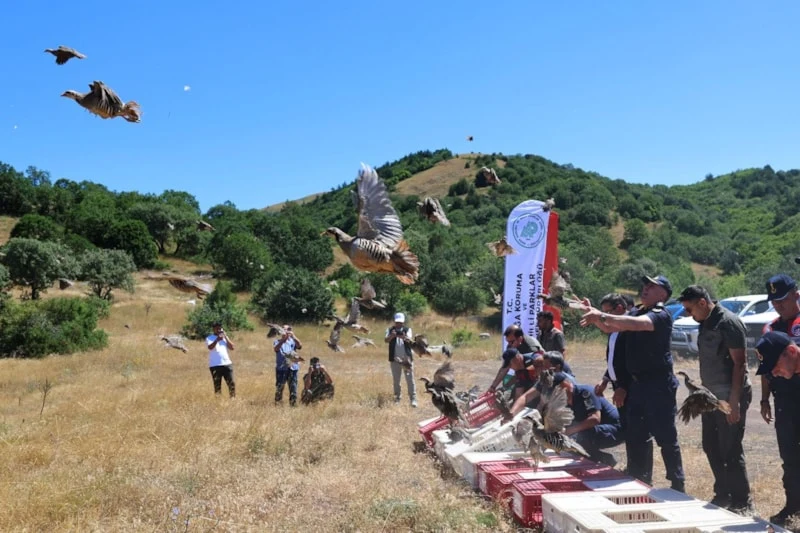 Keneyle Mücadelede Yeni Hamle! (2)