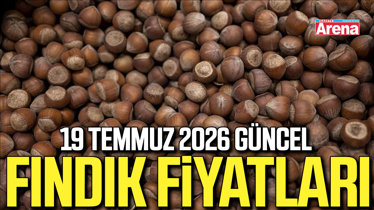 19 Temmuz 2026 güncel fındık fiyatları