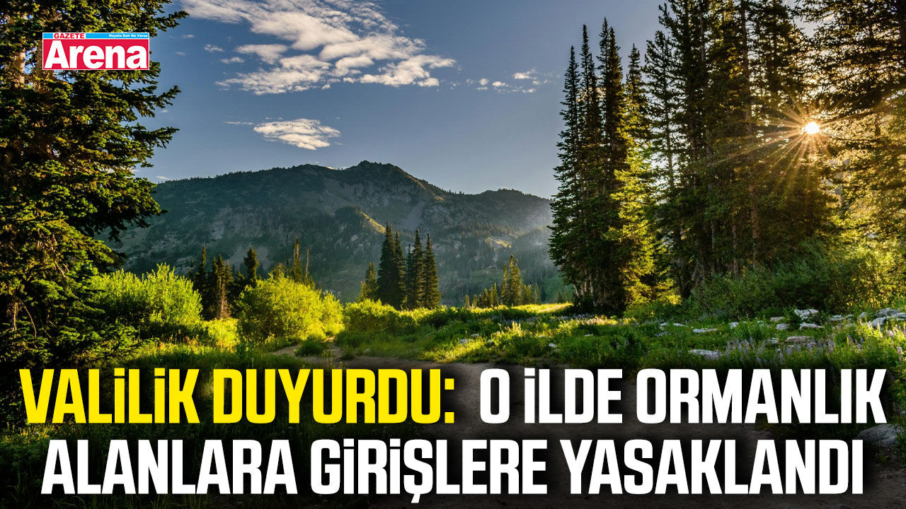 O ilde ormanlık alanlara girişler yasaklandı