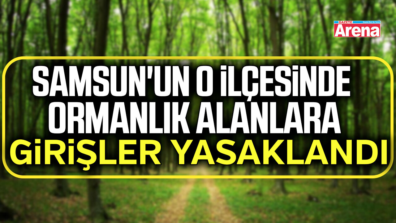 Samsun'un o ilçesinde ormanlık alanlara girişler yasaklandı