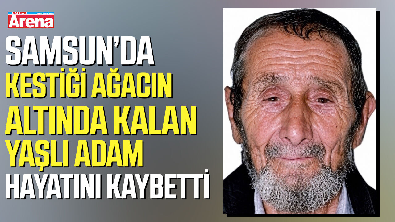 Kestiği ağacın altında kalan yaşlı adam hayatını kaybetti