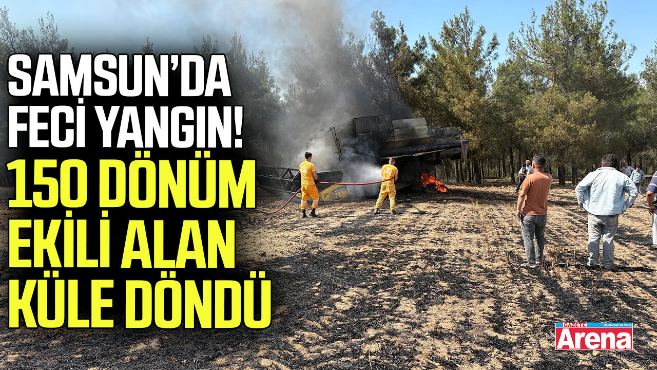 Samsun'da 150 dönüm ekili alanı küle döndü!