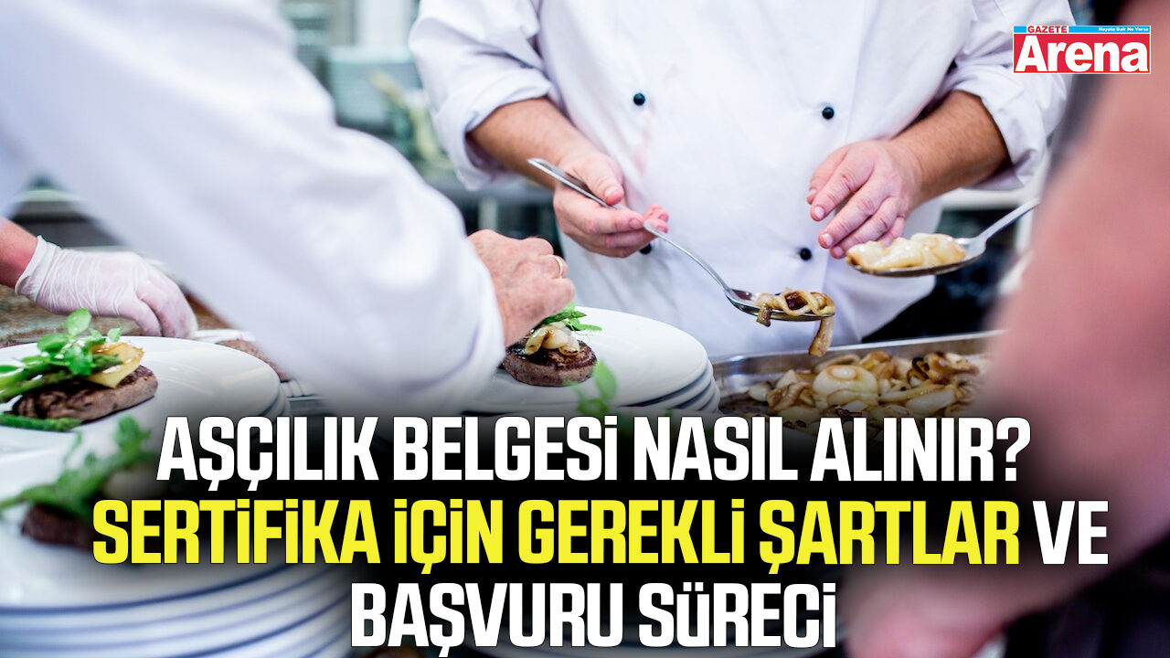 Aşçılık belgesi nasıl alınır?