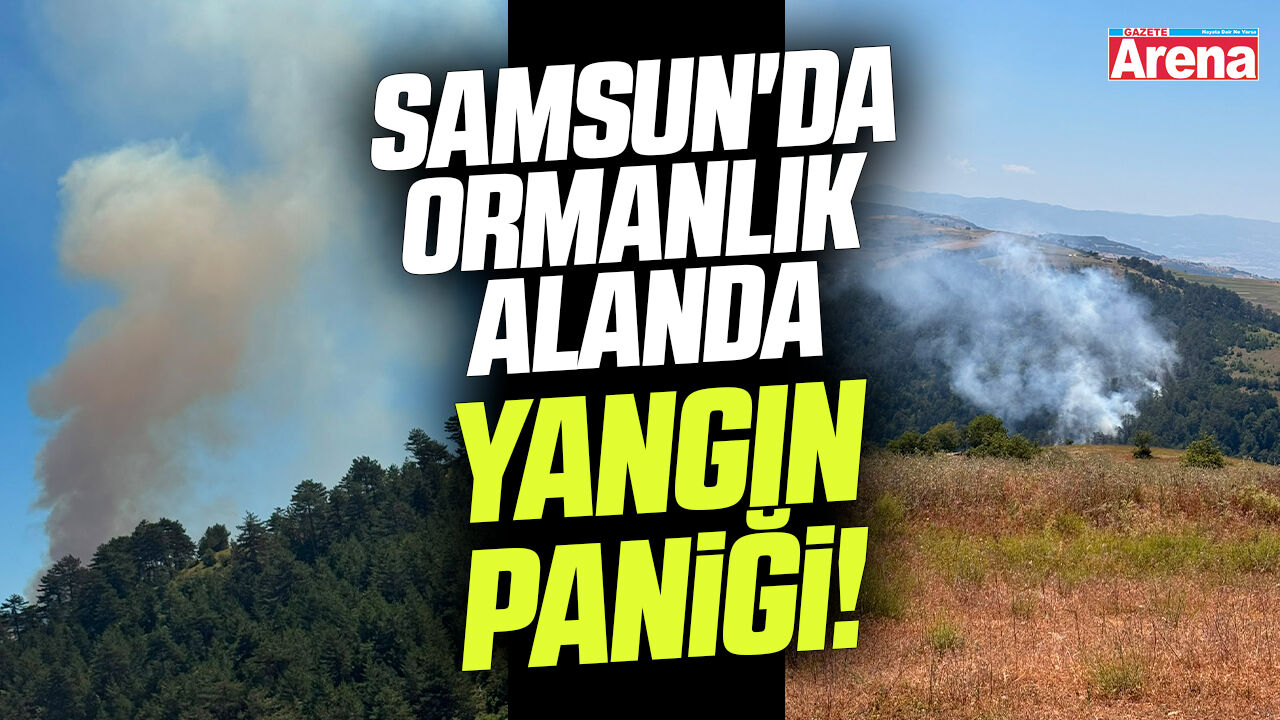 Samsun'da ormanlık alanda yangın paniği!