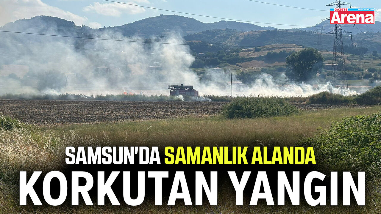 Samsun'da samanlık alanda korkutan yangın