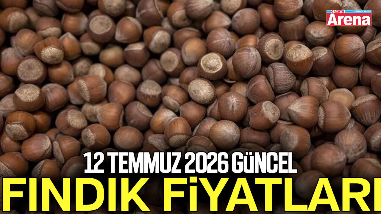 12 Temmuz 2026 güncel fındık fiyatları