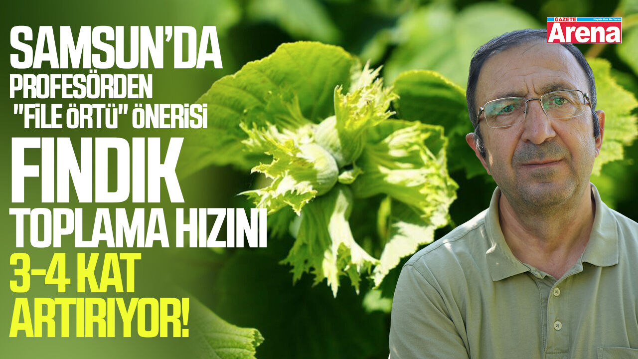 Samsun'da fındık üreticilerine dikkat çeken öneri