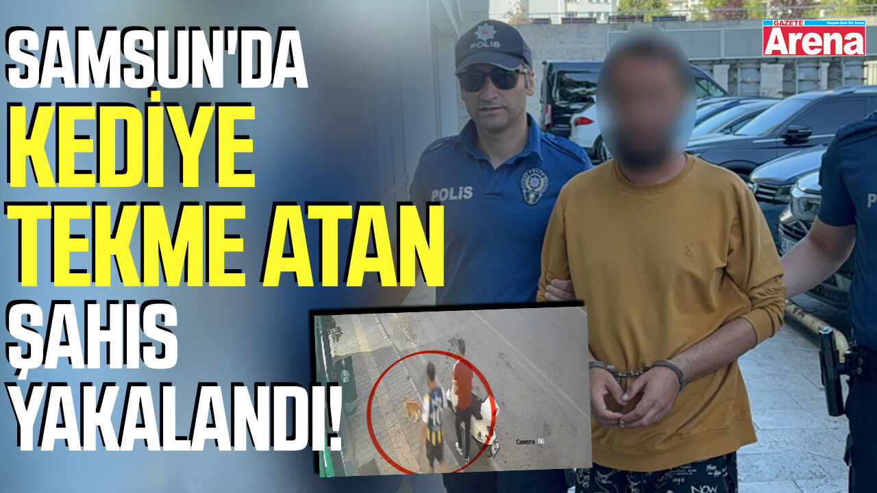 Samsun'da kediye tekme atan şahıs yakalandı!