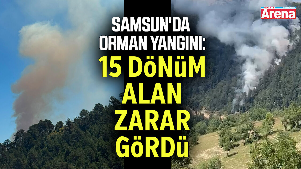 Samsun'da orman yangını: 15 dönüm alan zarar gördü
