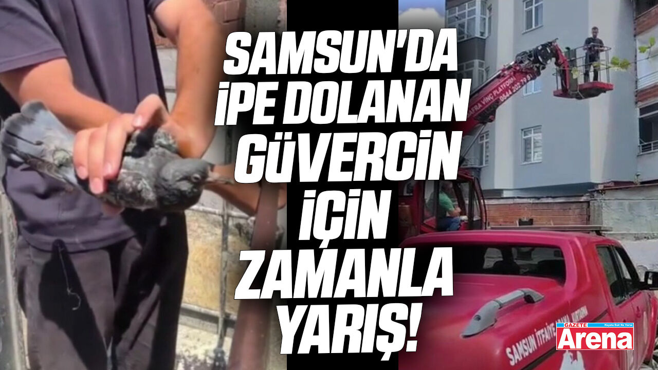 Samsun'da ekipler ipe dolanan güvercini kurtardı